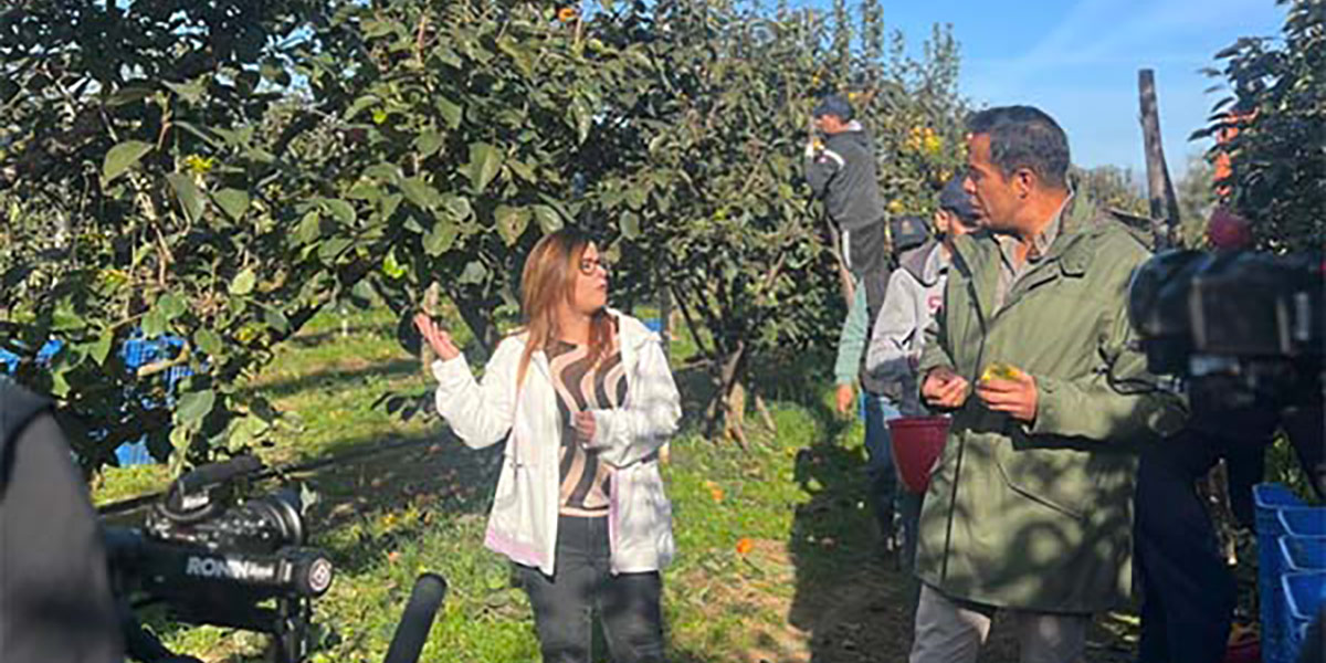 I riflettori Rai si accendono sui cachi Divano 